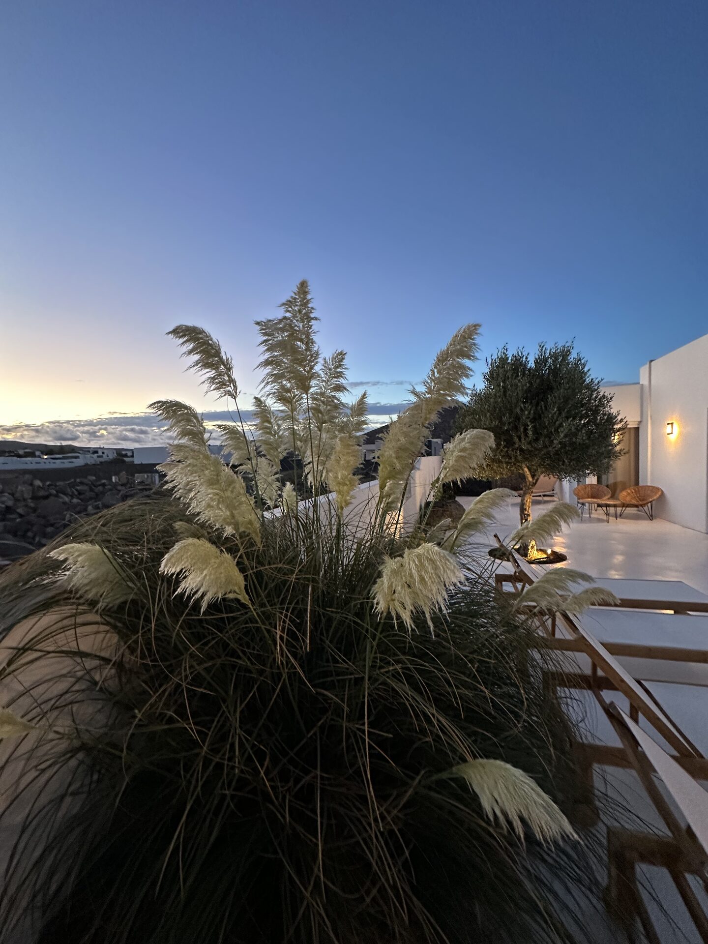 Piscina al atardecer con olivos y vista del volcán